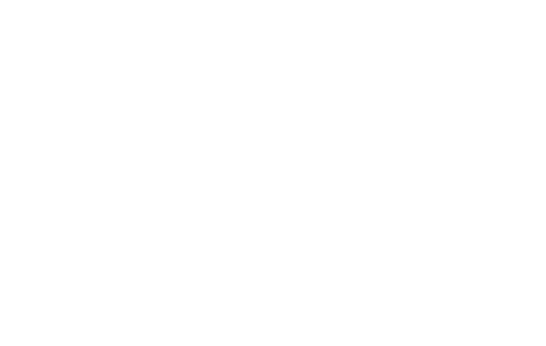 Leap logo