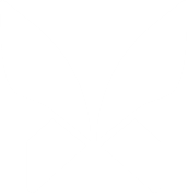 Toph logo