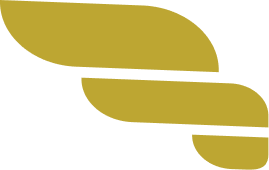 Valkyrie logo